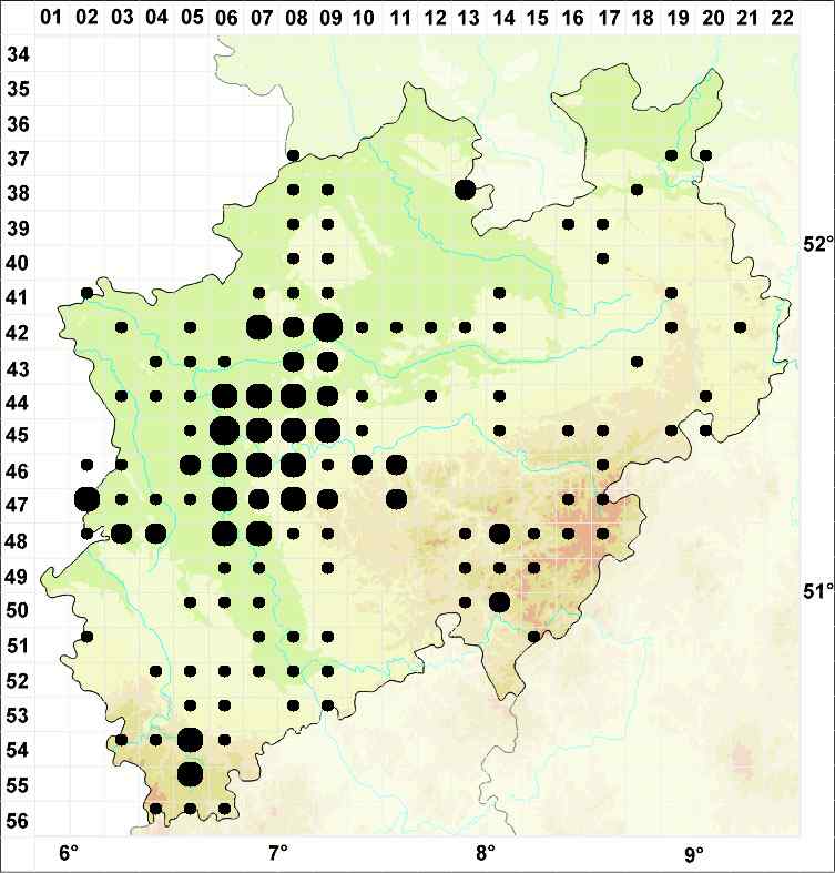 Karte  Prof. Dr. Björn Sothmann